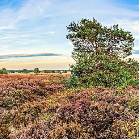 Holiday home In With Wifi