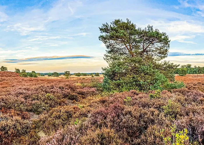 Dom wakacyjny In With Wifi